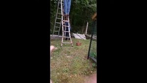 ОРЕШНИК В САДУ