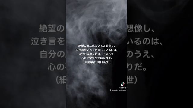 【名言×音楽】絶望のどん底（細菌学者  野口英世）