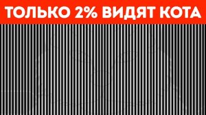 Самые необычные оптические иллюзии, чтобы запутать вашего друга!
