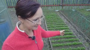 Видео привет с 6 соток 28 мая 2023 года