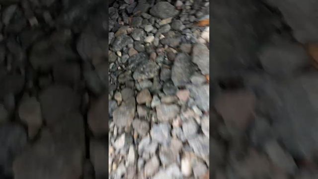 Mazda 3 BN 2017 rattling