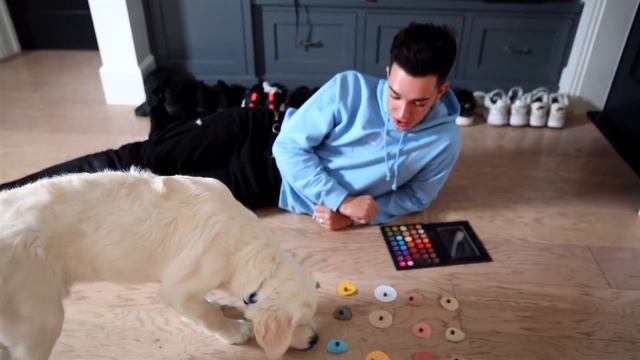 Щенок выбирает мне макияж. Джеймс Чарльз на русском смотреть онлайн