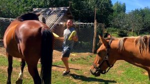 ГЛАВНЫЕ ПОПРОШАЙКИ В ДЕРЕВНЕ. СНОВА ЗАГОТАВЛИВАЕМ МЯСО И РАБОТАЕМ С УТРА ДО ВЕЧЕРА НА ХОЗЯЙСТВЕ