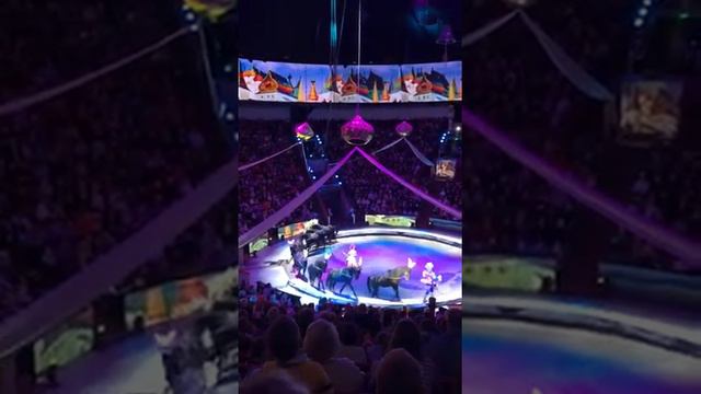 25 февраля 2020 г. смотреть онлайн