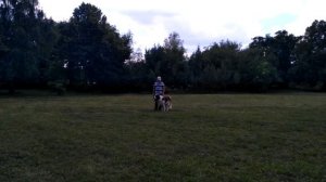 Сдача ОКД. Московская сторожевая.