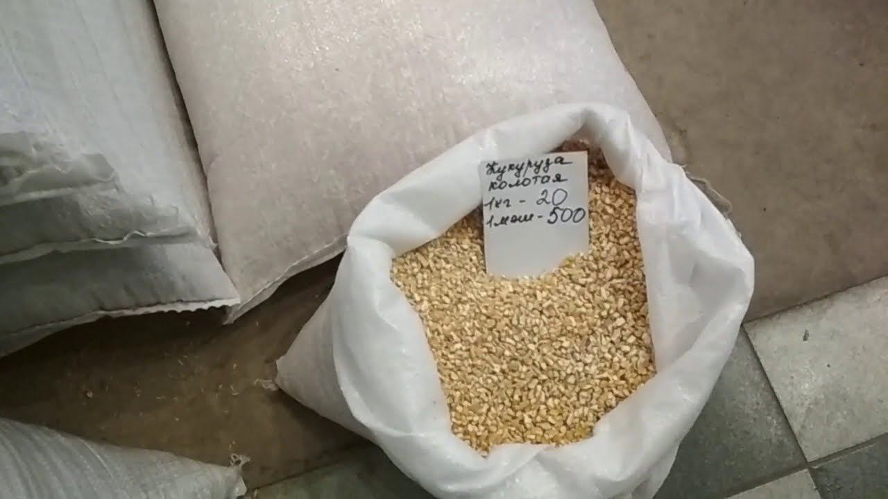 Какие цены на зерно и корма на Кубани урожай 2020г
