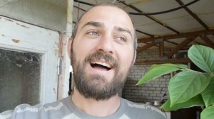 Цыплята вывелись после заморозки