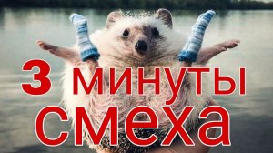 3 минуты смеха