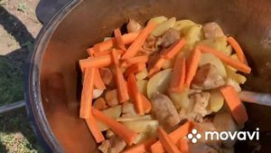 Аджахури или жареная картошка с мясом