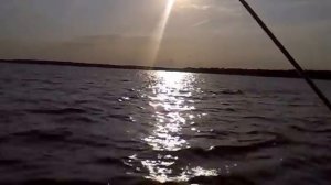 джек шпрот на Лосвидо.mp4