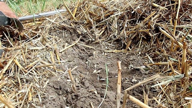 Metal detecting WW2 field смотреть онлайн