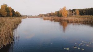 Не упусти момент! Когда начинается осенний жор у щуки и она ловится на все подряд? Осенний жор щуки