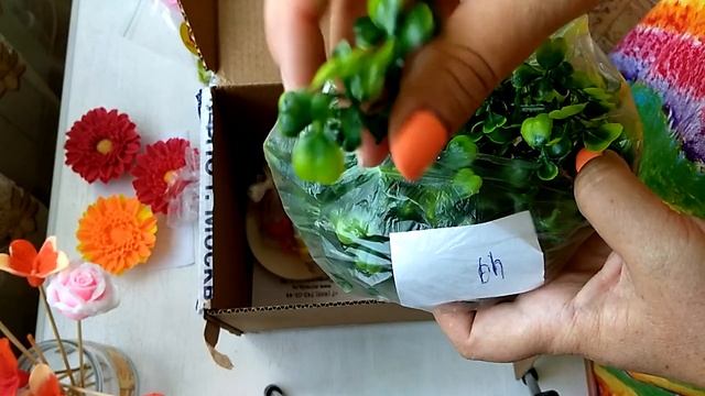 Мыловарение///Распаковка посылки сайта Мир мыла///