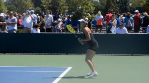 Martina Hingis Forehand and Backhand  - 2013 Cincinnati Open