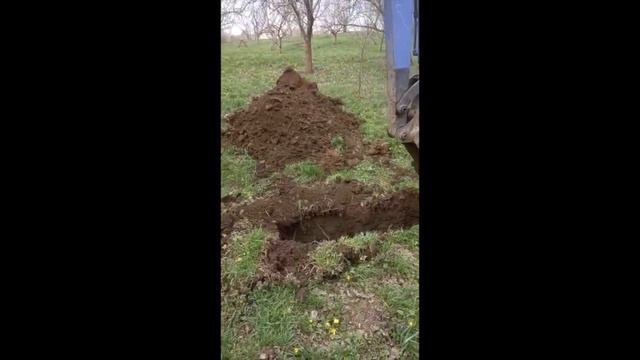 Копание почвенного разреза мини-экскаватором
