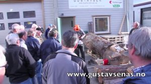 Power Sharp - Motorsagkjede slipesystem (HD)