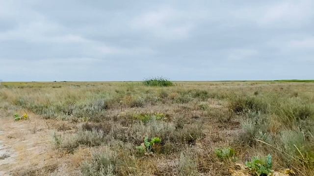 УКРАИНСКИЕ МАЛЬДИВЫ. БИРЮЧИЙ ОСТРОВ. КИРИЛЛОВКА. ЛУЧШИЕ ПЛЯЖИ. ЗАПОВЕДНИК смотреть онлайн