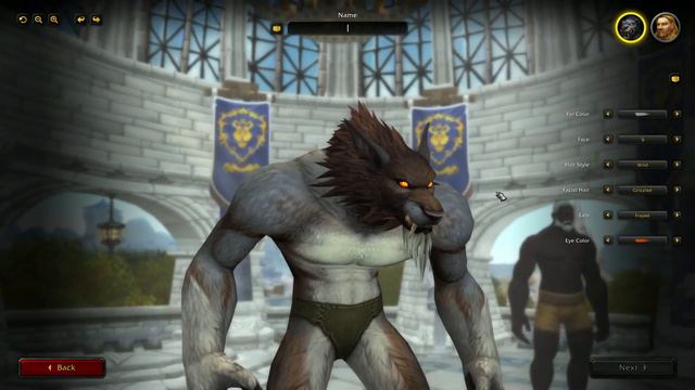 Expanding Character Customization in Warcraft