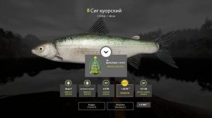 Русская рыбалка 4. Озеро Куори. Сиг куорский. Новогодние задания 2023.