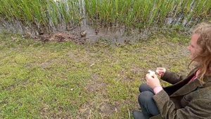 Выпуск 63 - Утки!