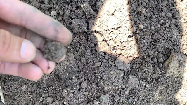 МегаУдачный шурф! Больше 50 старых монет за один час из заброшенной шахты! смотреть онлайн