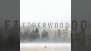 [Drum & Bass - 2018] Etherwood - In Stillness (CD)