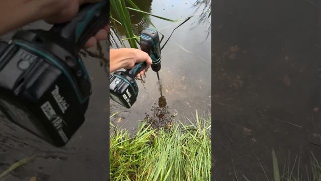 Checking if the pond is frozen