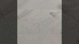 Шлифовка пола демонтаж эпоксидной краски