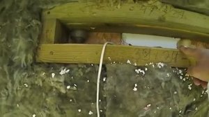 Утеплитель и мыши