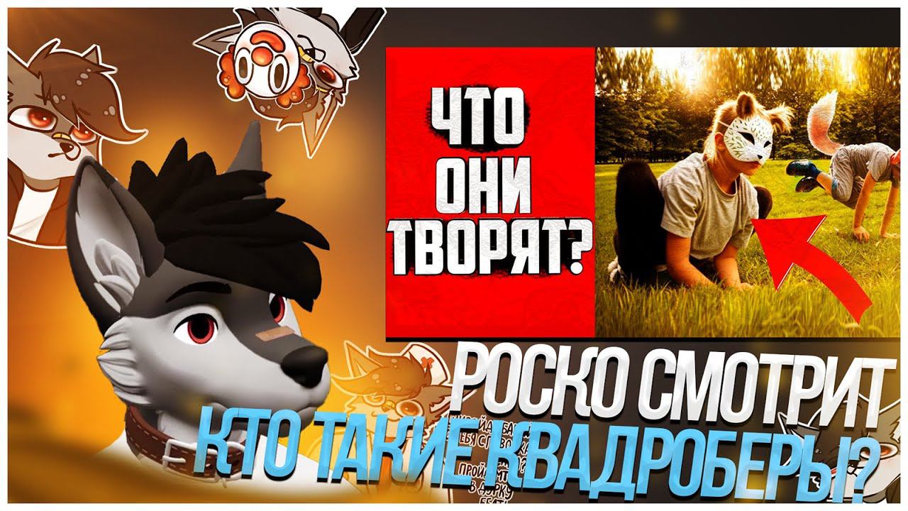 Роско смотрит Xduak - КТО ТАКИЕ КВАДРОБЕРЫ? ФУРРИ из Tik-Tok