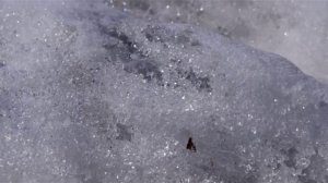 ориентирование на местности