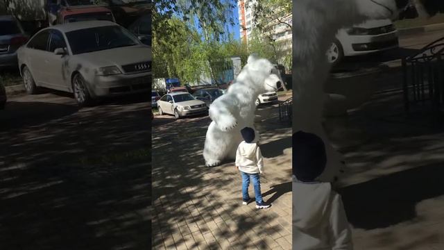 С 14 летием!!!Мишка спешит поздравить