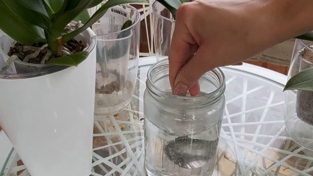 Эти ДЕШЕВЫЕ ТАБЛЕТКИ Спасут вашу ОРХИДЕЮ и ВЫ забудете о БОЛЕЗНЯХ у ОРХИДЕЙ/ мамины уценки РАСТУТ смотреть онлайн