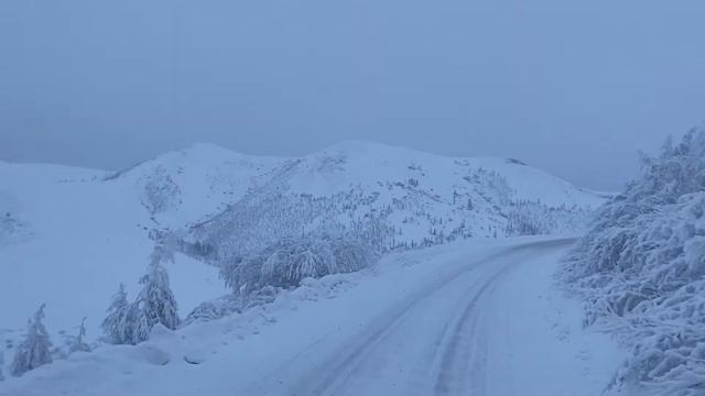 Дорога на АО «Павлик» Ленская Автобаза смотреть онлайн