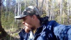 ПЕРВЫЕ ВЕСЕННИЕ ГРИБЫ!!!! тихая охота, как спастись от клещей,Гриб №1 путишествие