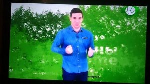 Звериный репортёр программы