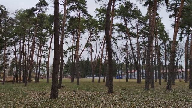 Прогулка по осеннему парку. пгт. Анна. Воронежская область.  4.11.2023