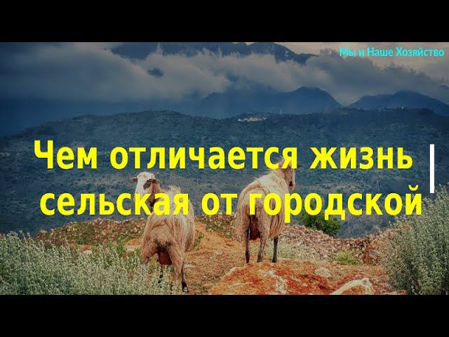 Чем отличается жизнь сельская от городской?
