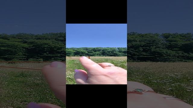 VID20230620133538.mp4