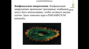 1 часть  Предмет, история развития микробиологии, вирусологии и иммунологии, достижения, цели и зад