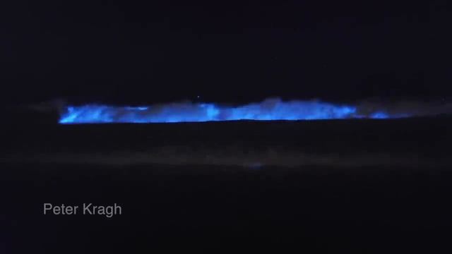 Bioluminescenсe / Биолюминесценция фитопланктона