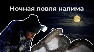 Ночная ловля налима