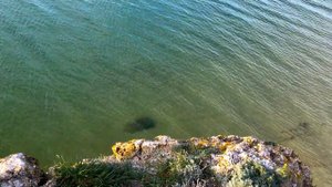 Пляж в Крыму, Генеральские пляжи, лучший дикий пляж - 1000 бухт
