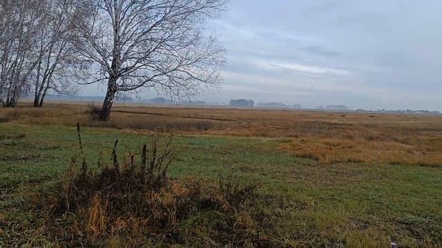 сказочная полянка смотреть онлайн