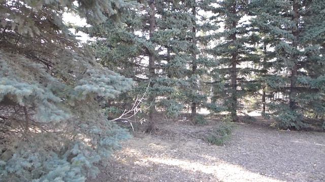 Проспект Лаврентьева апрель 2016 футаж 024 смотреть онлайн