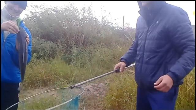 Белый Амур 2кг на простую поплавочную удочку с тонкой леской смотреть онлайн