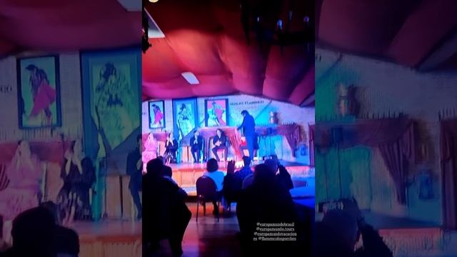Tablao flamenco los porches madrid смотреть онлайн