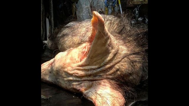 #КОРДАЙ перевал ШОК продолжение. фейк)) смотреть онлайн