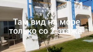 Египет Шарм-эль-Шейх отель Альбатрос Палас 5* январь 2022: самый-самый полный обзор