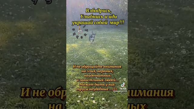 День семьи, любви и верности.mp4